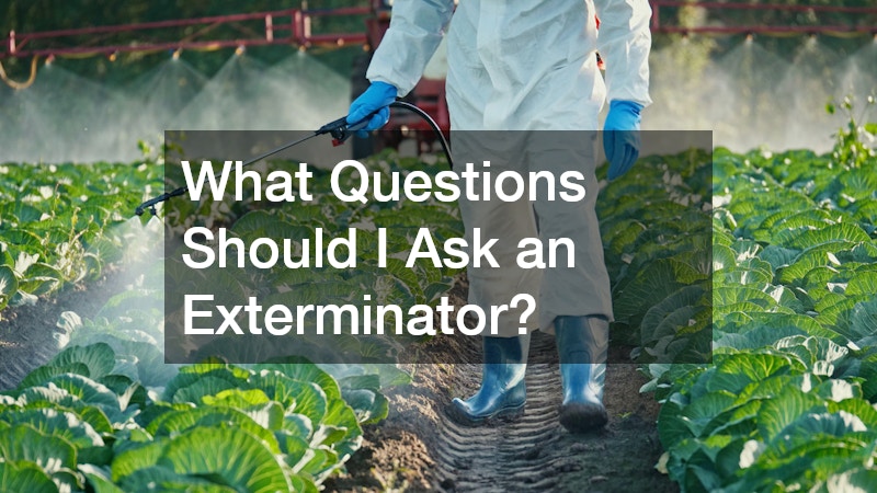 What Questions Should I Ask an Exterminator?